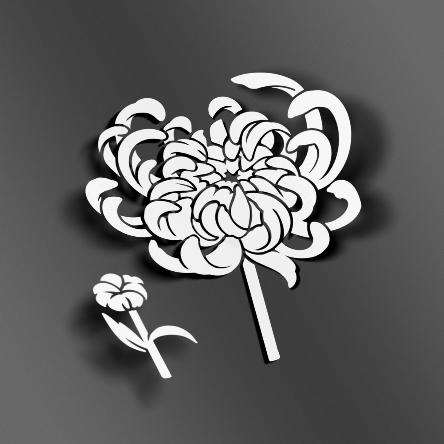 Chrysanthemum Flower