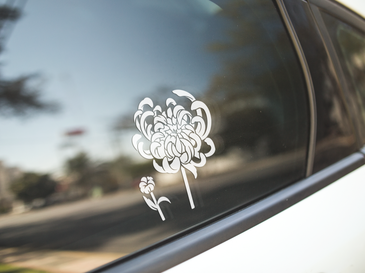 Chrysanthemum Flower